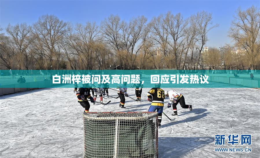 白洲梓被问及高问题，回应引发热议