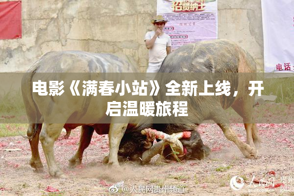 电影《满春小站》全新上线，开启温暖旅程