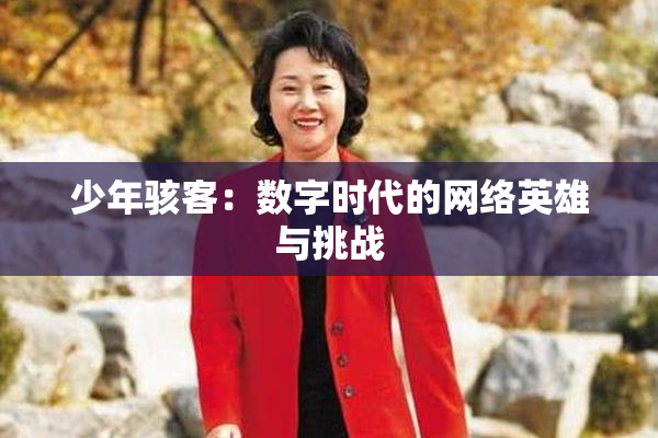 少年骇客：数字时代的网络英雄与挑战