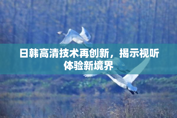 日韩高清技术再创新，揭示视听体验新境界