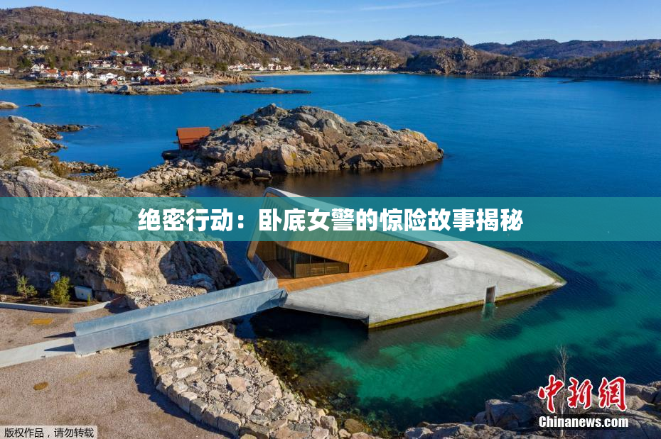 绝密行动：卧底女警的惊险故事揭秘