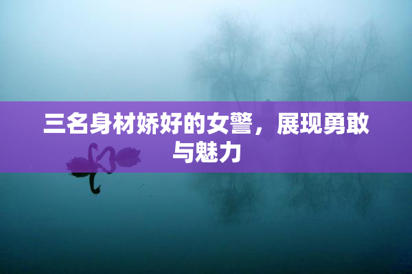 三名身材娇好的女警，展现勇敢与魅力