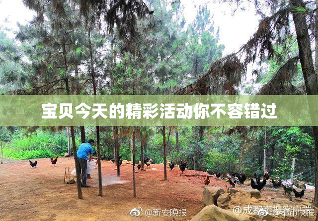 宝贝今天的精彩活动你不容错过