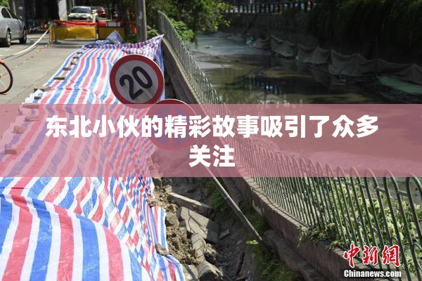 东北小伙的精彩故事吸引了众多关注