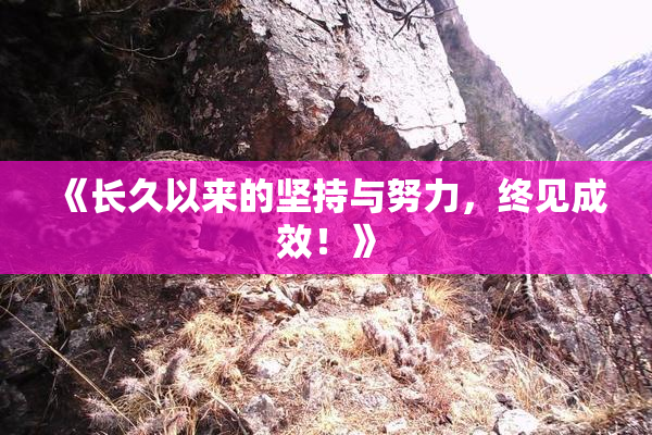 《长久以来的坚持与努力，终见成效！》