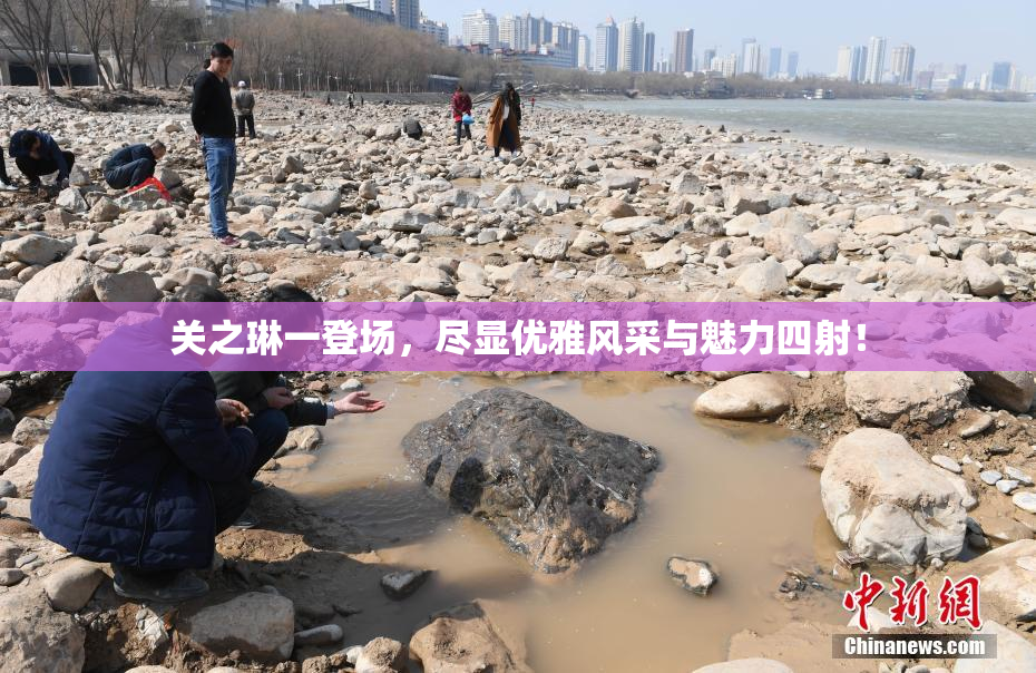 关之琳一登场，尽显优雅风采与魅力四射！