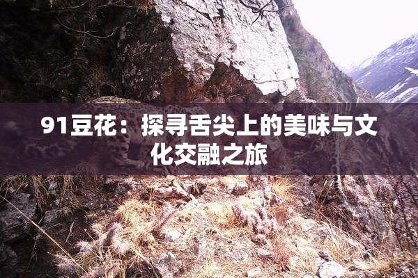 91豆花：探寻舌尖上的美味与文化交融之旅