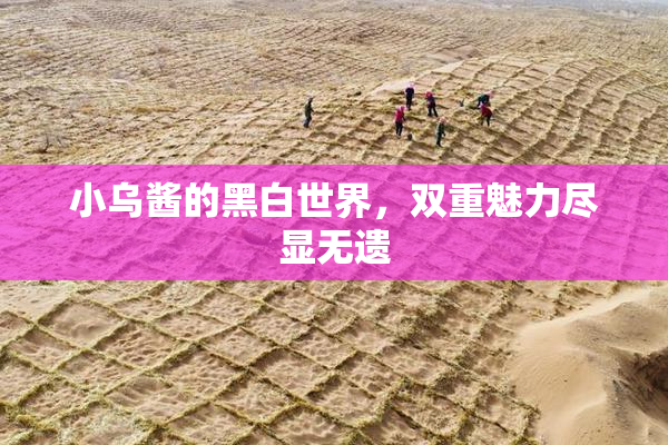 小乌酱的黑白世界，双重魅力尽显无遗