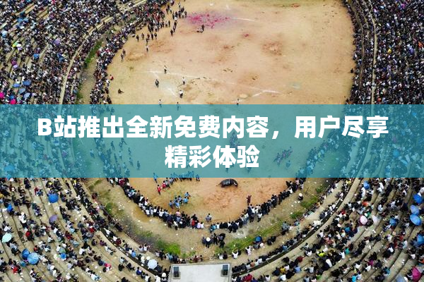 B站推出全新免费内容，用户尽享精彩体验
