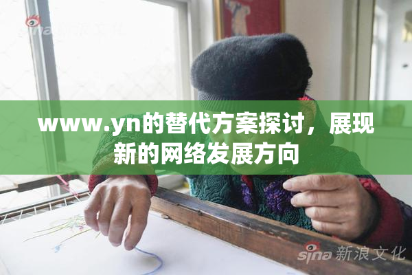 www.yn的替代方案探讨，展现新的网络发展方向