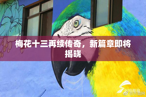 梅花十三再续传奇，新篇章即将揭晓