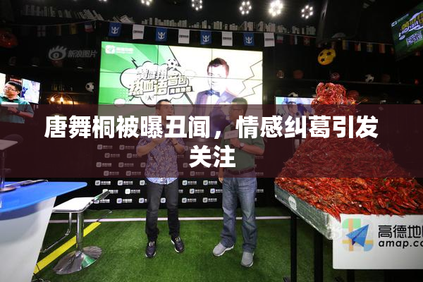 唐舞桐被曝丑闻，情感纠葛引发关注