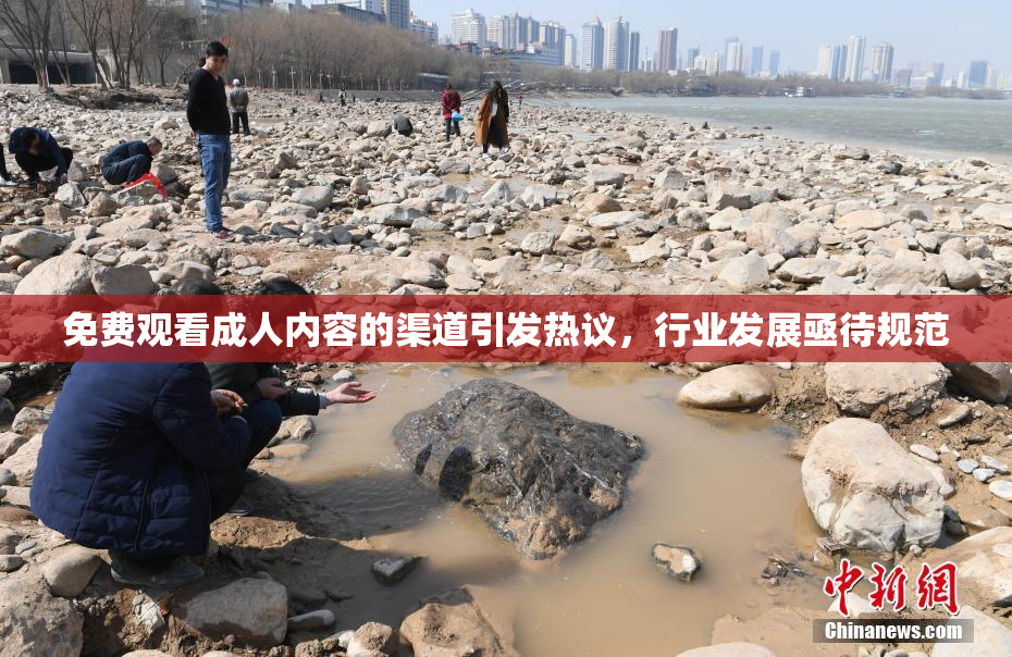免费观看成人内容的渠道引发热议，行业发展亟待规范