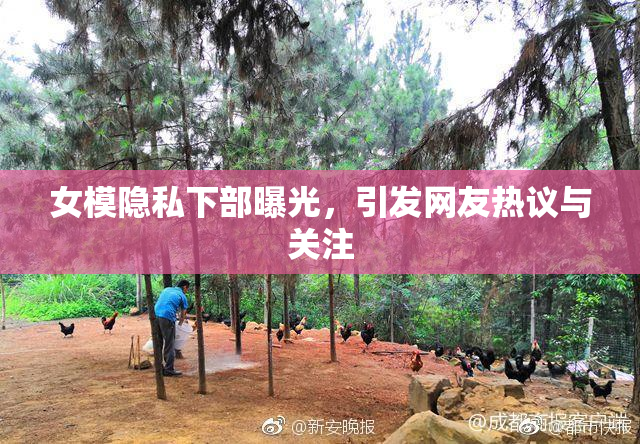 女模隐私下部曝光，引发网友热议与关注