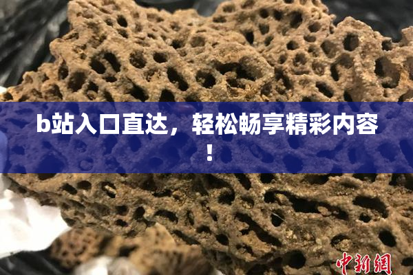 b站入口直达，轻松畅享精彩内容！