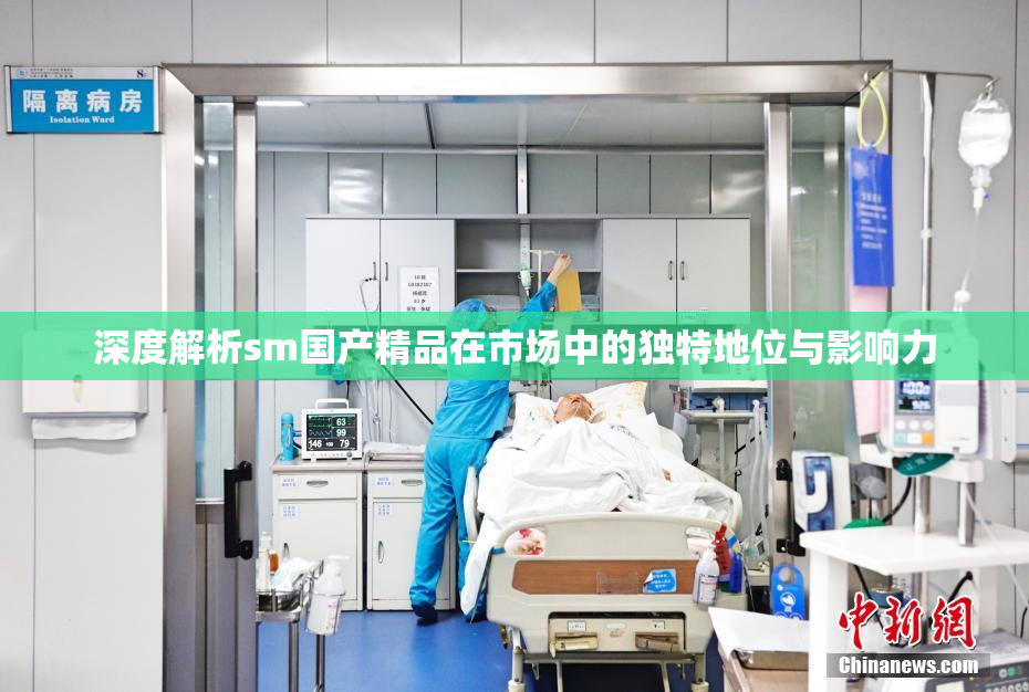 深度解析sm国产精品在市场中的独特地位与影响力