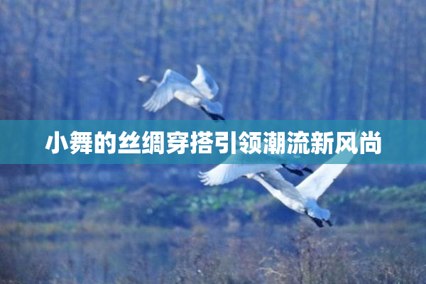 小舞的丝绸穿搭引领潮流新风尚