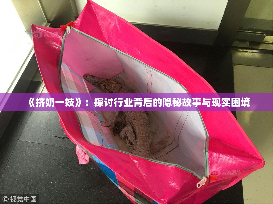 《挤奶一妓》：探讨行业背后的隐秘故事与现实困境