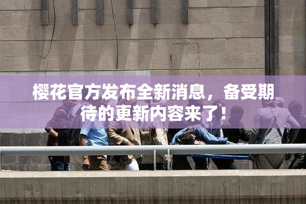 樱花官方发布全新消息，备受期待的更新内容来了！