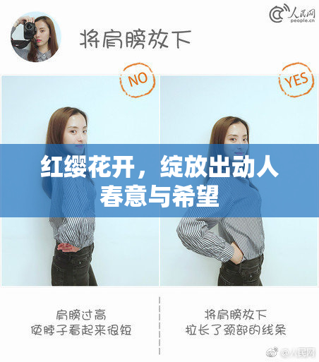 红缨花开，绽放出动人春意与希望