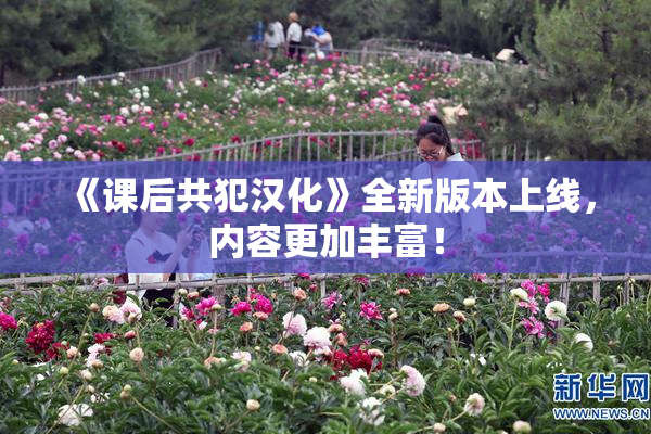 《课后共犯汉化》全新版本上线，内容更加丰富！