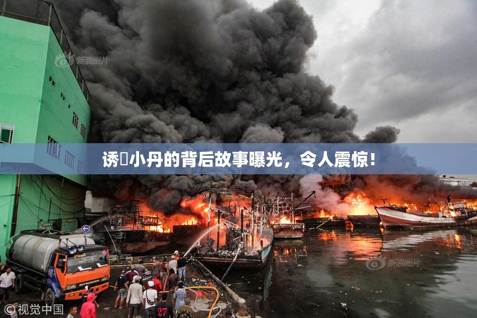 诱奷小丹的背后故事曝光，令人震惊！