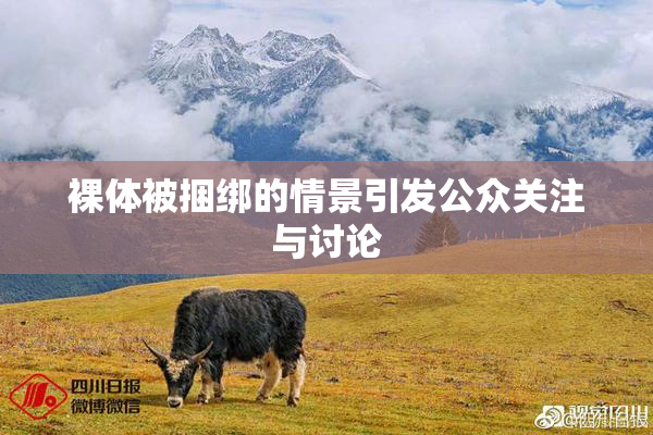 裸体被捆绑的情景引发公众关注与讨论