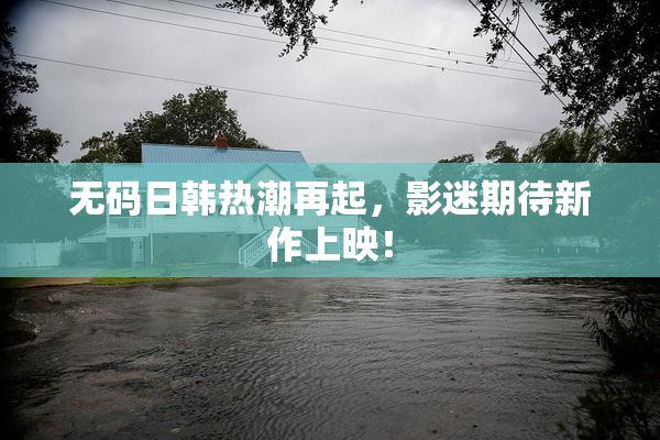 无码日韩热潮再起，影迷期待新作上映！