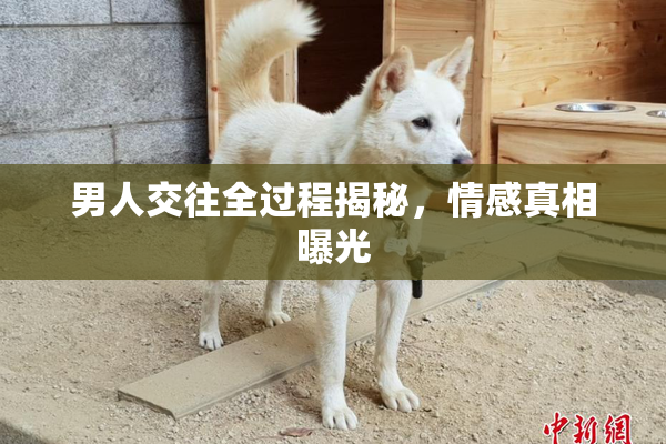 男人交往全过程揭秘，情感真相曝光