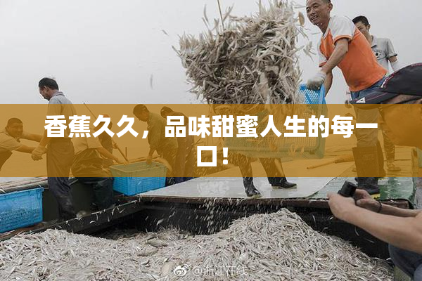 香蕉久久，品味甜蜜人生的每一口！