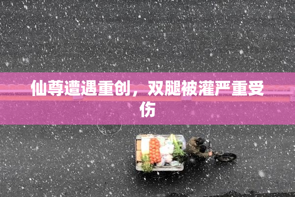 仙尊遭遇重创，双腿被灌严重受伤