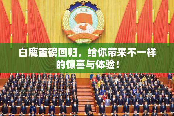 白鹿重磅回归，给你带来不一样的惊喜与体验！