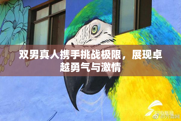 双男真人携手挑战极限，展现卓越勇气与激情