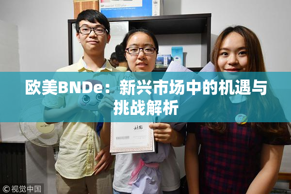 欧美BNDe：新兴市场中的机遇与挑战解析
