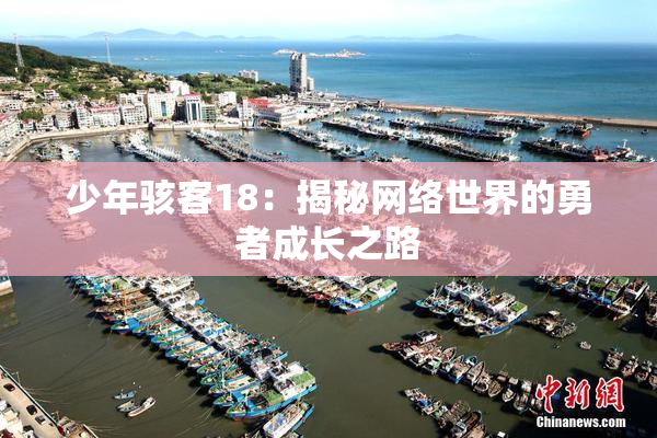 少年骇客18：揭秘网络世界的勇者成长之路