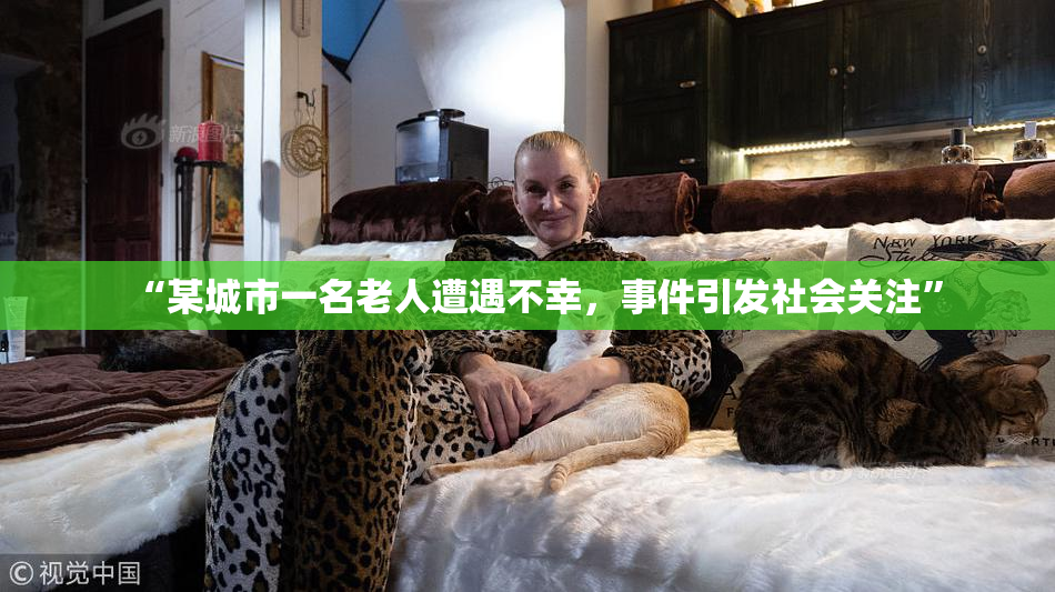 “某城市一名老人遭遇不幸，事件引发社会关注”