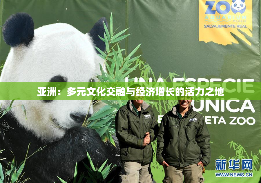 亚洲：多元文化交融与经济增长的活力之地