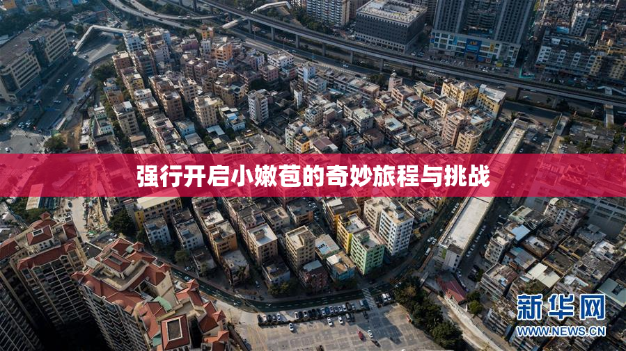 强行开启小嫩苞的奇妙旅程与挑战