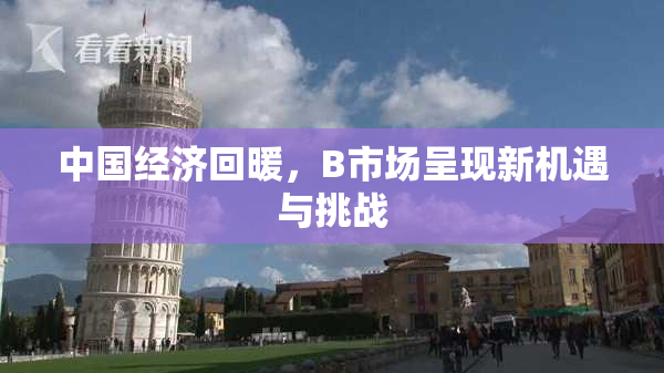 中国经济回暖，B市场呈现新机遇与挑战