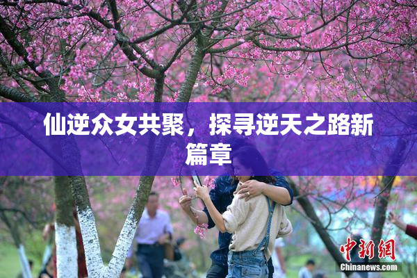仙逆众女共聚，探寻逆天之路新篇章