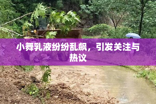小舞乳液纷纷乱飙，引发关注与热议