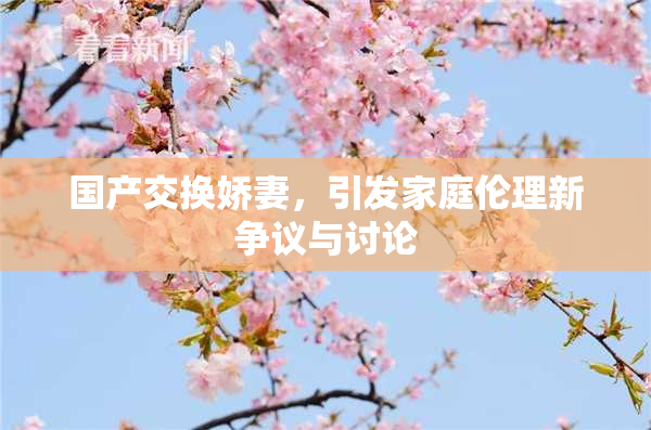 国产交换娇妻，引发家庭伦理新争议与讨论