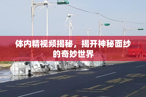 体内精视频揭秘，揭开神秘面纱的奇妙世界