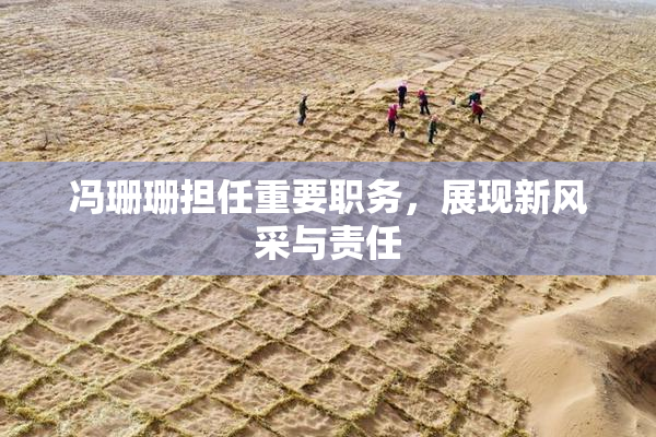 冯珊珊担任重要职务，展现新风采与责任