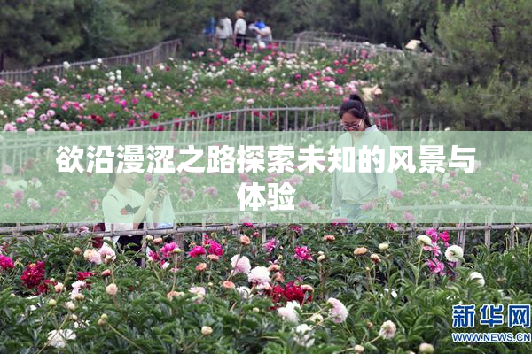 欲沿漫涩之路探索未知的风景与体验