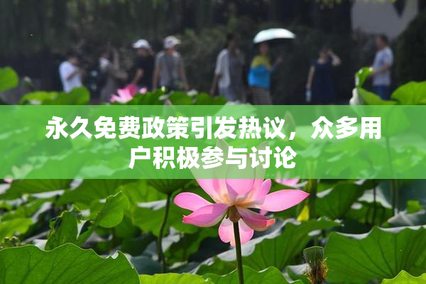 永久免费政策引发热议，众多用户积极参与讨论