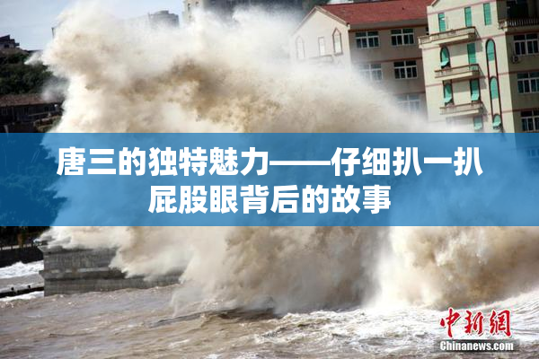 唐三的独特魅力——仔细扒一扒屁股眼背后的故事