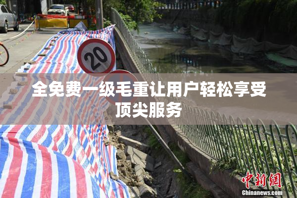 全免费一级毛重让用户轻松享受顶尖服务