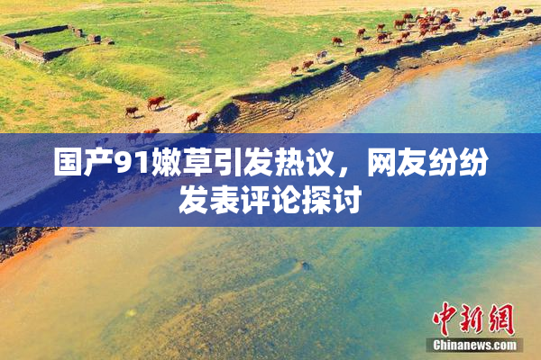 国产91嫩草引发热议，网友纷纷发表评论探讨