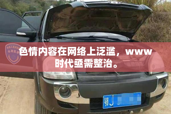 色情内容在网络上泛滥，www时代亟需整治。